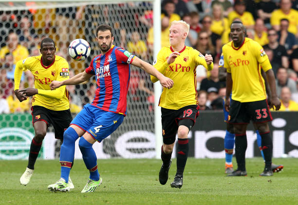 哥的特点进 哥的特点进